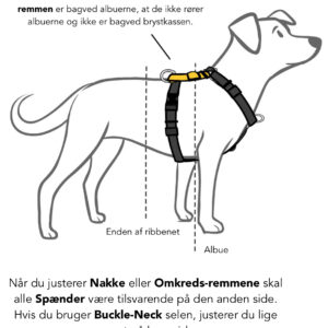 Balance Harness Hundesele