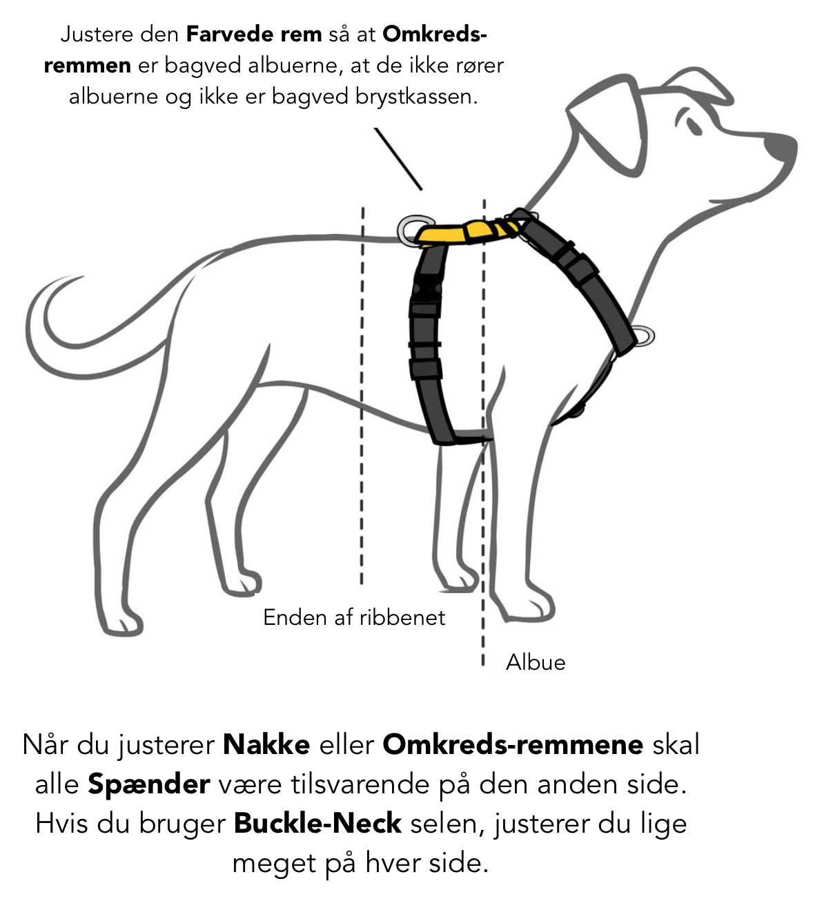 Ejendommelige Lige Illustrer Hundesele Balance Harness Buckle Neck • DogWise