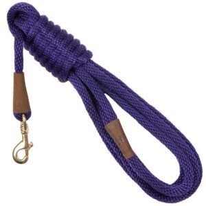 Mendota leash Purple