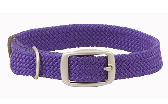 Hundehalsbånd Purple